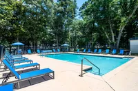 Resort Style Pool and Lounge Area