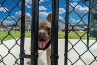 Pet Friendly Living!