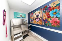 Pet Grooming Station