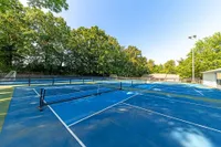 Pickleball Court