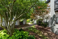 Charming garden view of a serene apartment pathway lined with lush greenery and mature trees.