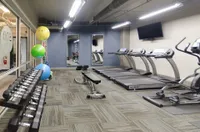 Sleek and modern fitness center equipped with treadmills, weights, exercise balls, and mirrored walls for a complete workout experience.