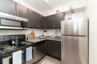 Modern kitchen with sleek stainless steel appliances, dark wood cabinetry, and elegant granite countertops.