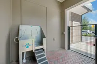 Pet Wash