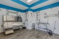Clean Pets, Happy Homes