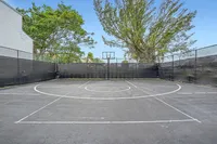 Inviting outdoor basketball court surrounded by lush greenery, perfect for recreation and leisure.