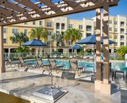 Swimming Pool | Apartment Homes in Sarasota, FL | Alloro at University Groves