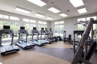 Bright and spacious fitness center with modern exercise equipment and large windows offering scenic greenery views.