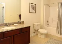 Elegant bathroom featuring a granite countertop, stylish framed art, and a pristine bathtub with a shower curtain.