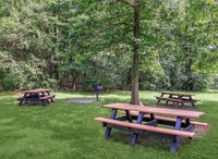 Picnic and grill area