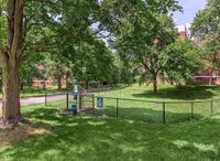Dog park