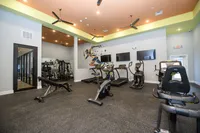 Modern fitness center with state-of-the-art exercise equipment, vibrant artwork, and ceiling fans for comfort.
