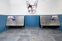 Chic pet wash station featuring dual stainless steel tubs with modern blue tile accents and playful dog mural.