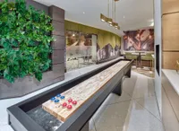 Shuffleboard