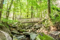 Nature Trail