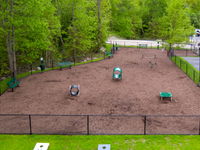Dog Park
