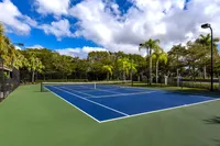 Pickleball and Tennis Court