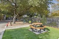 Bark Park Renata on Fredericksburg | San Antonio, TX | Bark Park