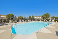 Sparkling Swimming Pool
