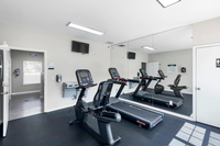 Modern apartment gym featuring state-of-the-art treadmill and exercise bike, bright and inviting with large mirrors.