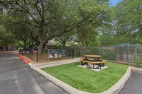 Bark Park