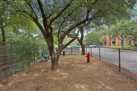 Bark Park