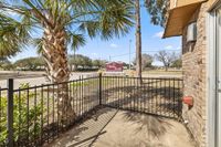 Charming outdoor space at The Park at Tivoli, featuring a picturesque palm tree, inviting fence, and sunny ambiance.