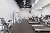 Modern fitness center featuring sleek treadmills, versatile weight machines, and a spacious design.