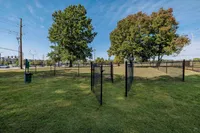 Inviting community dog park with lush green grass, sturdy fencing, and mature trees under a bright blue sky.