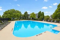 Inviting outdoor swimming pool surrounded by lush greenery and comfortable lounge chairs, perfect for relaxation and leisure.