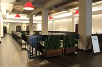 Modern apartment lobby with stylish red pendant lighting, sleek wood flooring, and lush potted plants, creating a welcoming ambiance.