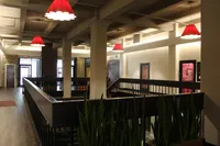 Elegant apartment lobby with modern lighting, sleek wood flooring, and inviting greenery.
