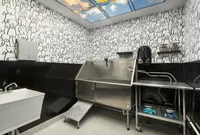 Dog Grooming Spa
