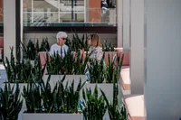 Rooftop Catch-Ups