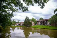 Forest Village - Pond