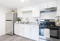 Modern kitchen with bright decor