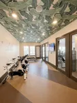 Chic indoor exercise room featuring modern spin bikes and a vibrant tropical ceiling design.