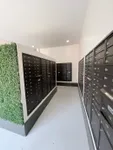 Modern apartment mailroom featuring sleek black mailboxes and a vibrant green plant wall accent.