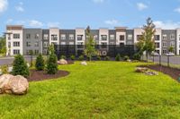 Dog Park | Apartment Homes in Jacksonville, FL | The Menlo