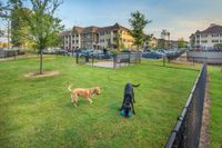 Dog Park | Apartments in Tucker, GA | Green Park