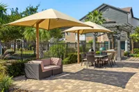 Avenues at Northpointe - Pool Side Loungers
