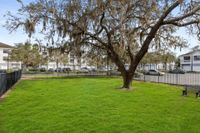 Dog Park | Apartments in Tampa, FL | Citrus Village