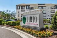 Lirio at Rafina