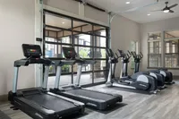 Modern fitness center with treadmills and ellipticals in a bright, spacious room with large windows.