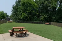Spacious green lawn with wooden picnic tables and benches, surrounded by lush trees and a protective fence.