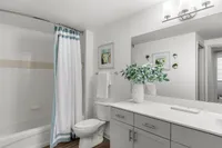 Inviting modern bathroom featuring a sleek vanity, chic lighting, and a stylish shower curtain. Fresh and elegant design with decorative greenery for a serene atmosphere.