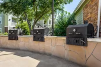 Inviting outdoor grill area featuring three stylish black BBQs set against a charming stone wall, surrounded by lush greenery.