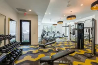 Modern fitness center with state-of-the-art equipment, vibrant geometric carpeting, and large windows for natural light.