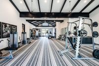 Modern fitness center equipped with state-of-the-art weight machines, sleek design, and vibrant striped flooring.