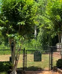 Dog Park